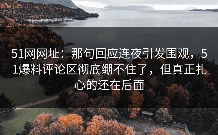 51网网址：那句回应连夜引发围观，51爆料评论区彻底绷不住了，但真正扎心的还在后面  第1张